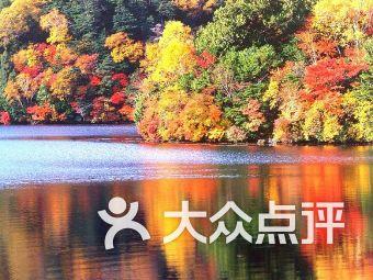 以撒的结合：重生